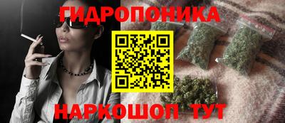 МДПВ Гусев