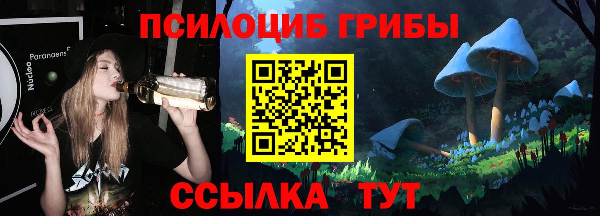 Галлюциногенные грибы Cubensis  Псилоцибиновые грибы прущие грибы  Строитель  наркотики  Вход с VPN 