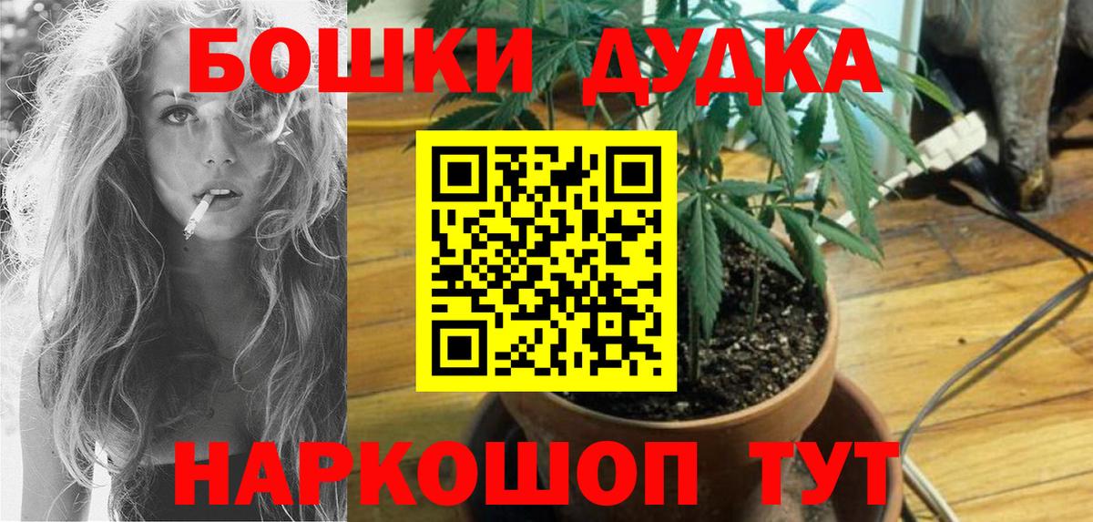 Канабис конопля  Канабис OG Kush  Строитель  Вход с VPN  Бошки марихуана план 
